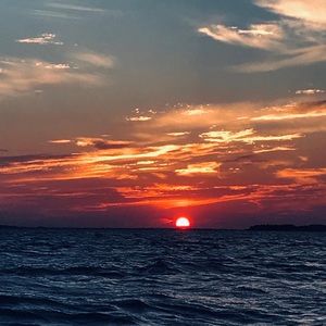 Meet your Posher, Colin